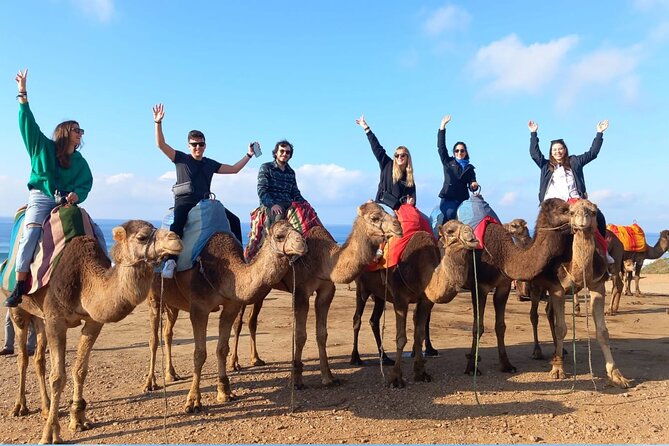 Full Day Private Tangier Tour