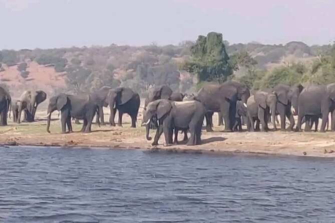 Full Day Private Tour in Chobe - Overview of the Tour