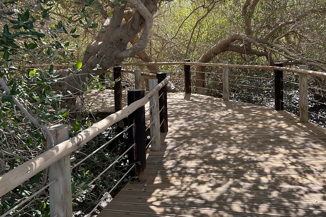 Full-Day Private Tour in Kalba Mangroves And Khor Fakkan