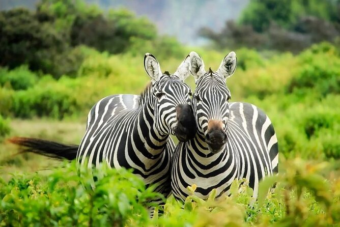 Full Day Private Tour to Hells Gate National Park From Nairobi.
