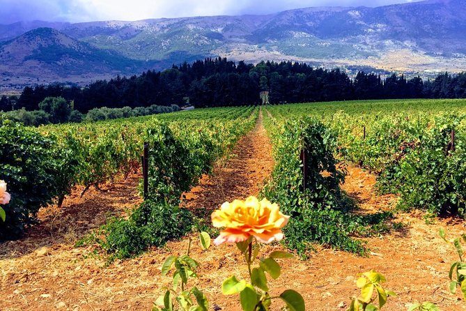 Full-Day Private Wine Tasting Tour - Tour Highlights