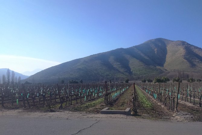 Full Day Private Wine Tour