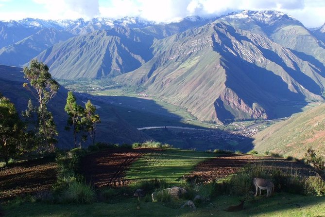 Full Day: Sacred Valley Tour With Entrances