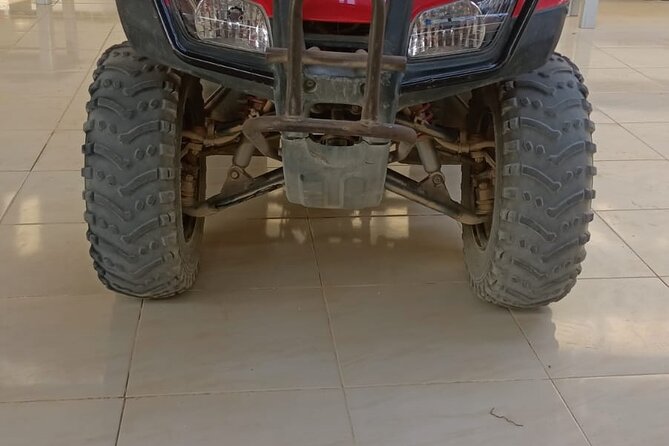 Full-Day Safari Adventure Quad & Buggy With BBQ and Show - Tour Overview