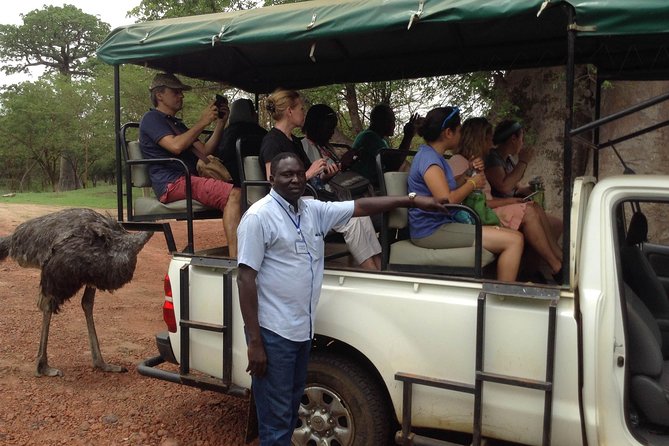 FULL-DAY SAFARI and PINK LAKE TOUR (Minimum 2 Pax)