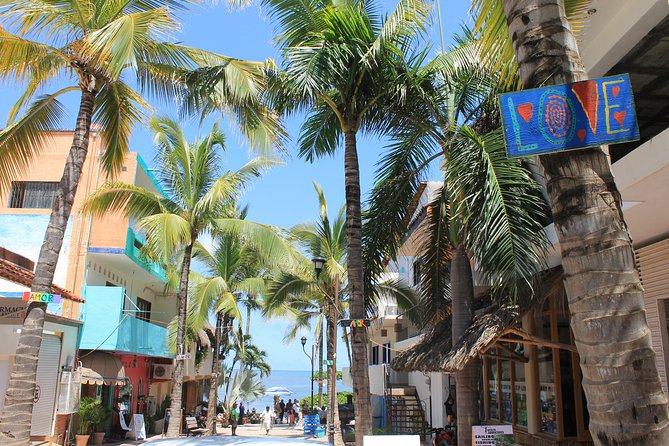 Full-Day Sayulita and San Pancho From Puerto Vallarta