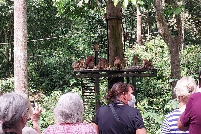 Full-Day Sepilok Orangutan and Sandakan City Trail From Kota Kinabalu
