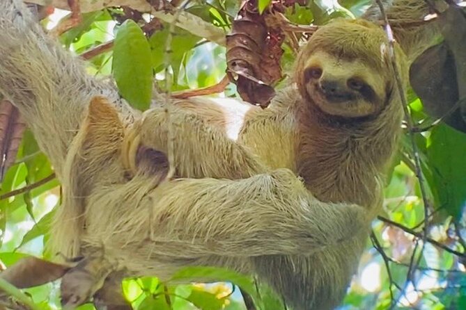 Full-Day Shared Tour in Manuel Antonio With Lunch - Inclusions and Exclusions