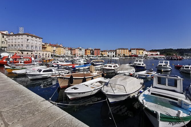 Full-Day Shore Excursion to Istria From Opatija or Rijeka