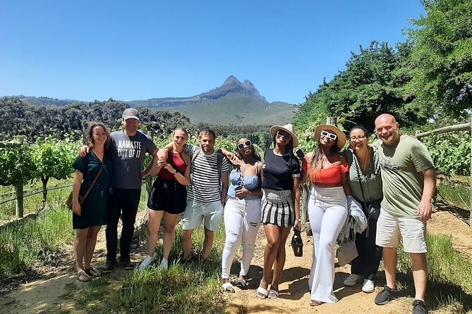 Full Day Small Group Wine Tour Cape Town and Stellenbosch