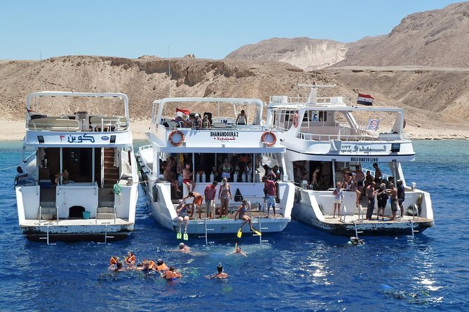 Full Day Tiran Island Snorkeling Sea Trip & Lunch With Transfer - Sharm Elsheikh - Pickup and Logistics