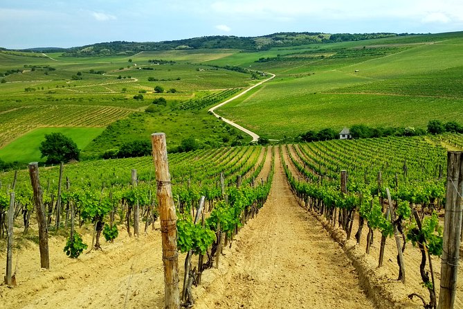 Full-Day Tokaj UNESCO World Heritage Site Private Wine Tour