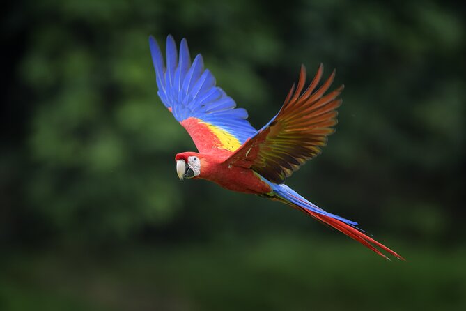 Full Day Tour Around Minca (From Tayrona Park)