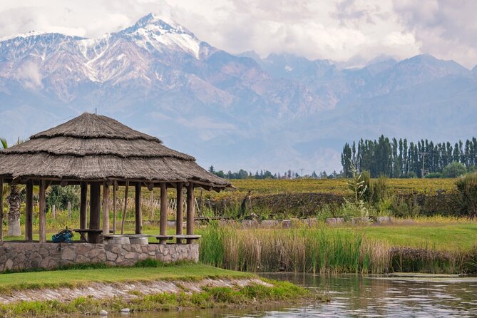 Full Day Tour Mendoza Wineries in the Uco Valley
