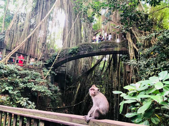 Full Day Tour of Ubud & Dine in the Shadow of a Live Volcano