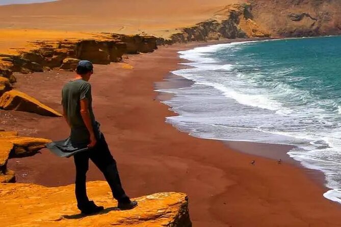 Full Day Tour Paracas and Ica