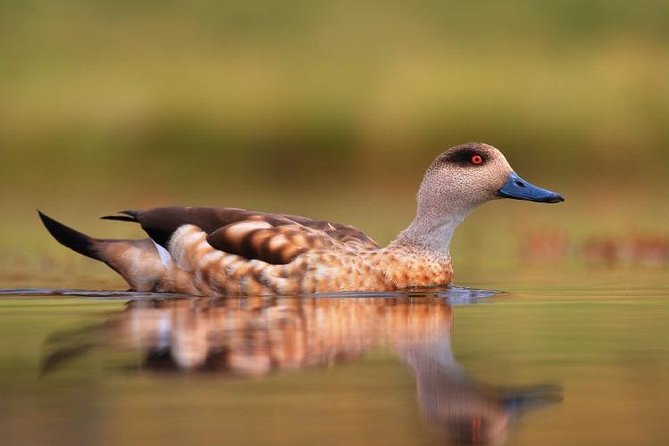 Full-Day Tour to Laguna De Los Pozuelos From Tilcara