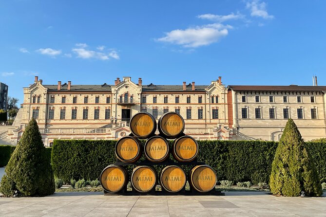 Full Day Tour to Mimi Castel With Wine Tasting