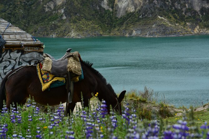 Full-Day Tour to Quilotoa Lagoon From Baños With Lunch - Meeting and Departure