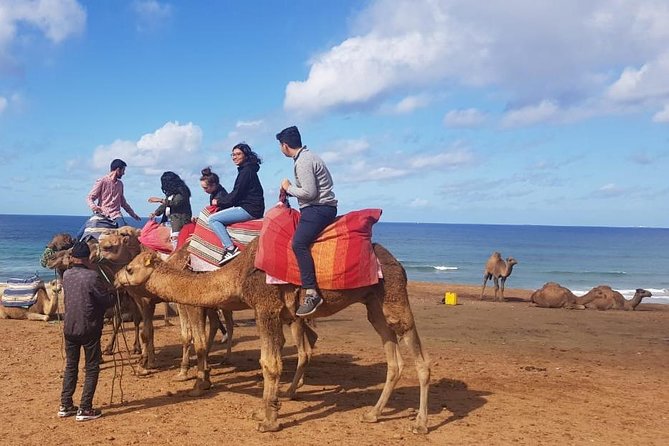 Full Day Trip in Tangier With Camel Ride