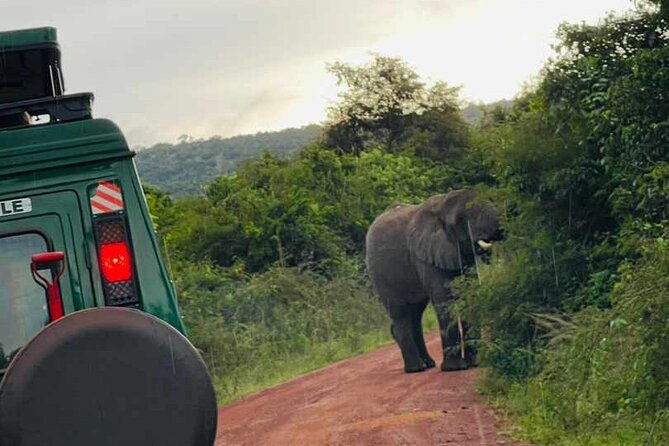 Full-Private Akagera Boat Cruise and Game Drive