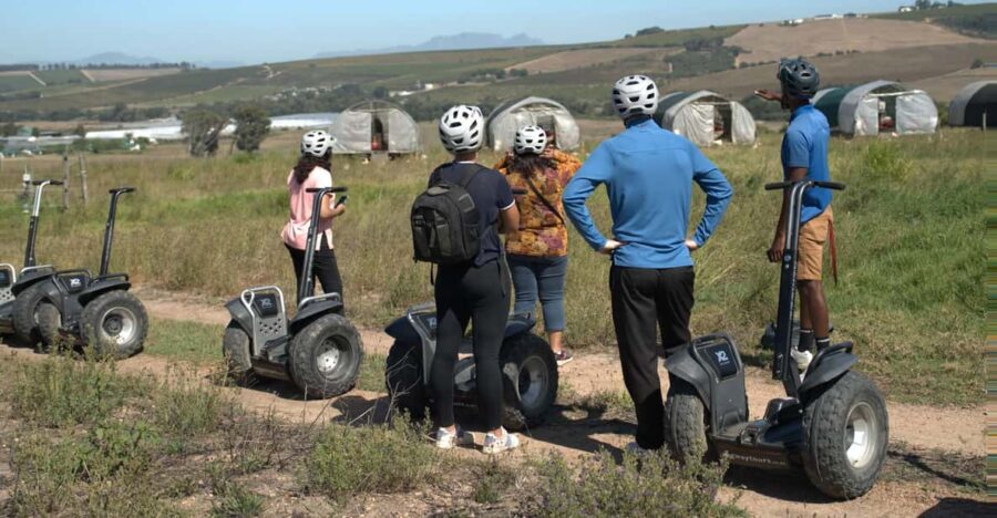 Fully Inclusive Cape Town & Winelands Adventure Tour - Tour Overview
