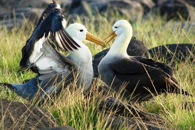 Galapagos - Exploring San Cristobal Island 4 Days - Discovering San Cristobal Island