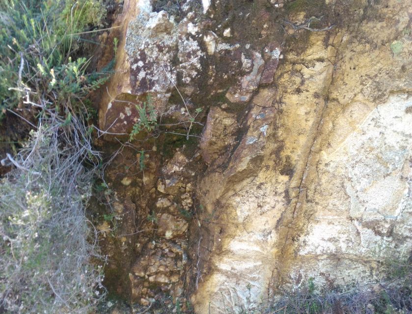 Gallaecian-Roman Gold Mining in Serra Da Groba Tour - Tour Overview