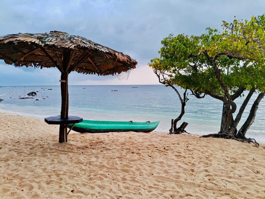 Galle: All Inclusive Private Day Tour From Colombo & Negombo - Tour Overview and Pricing
