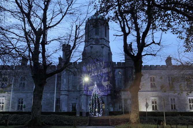Galway Historic City Tour – 2.5hr Family & Friends Private Groups