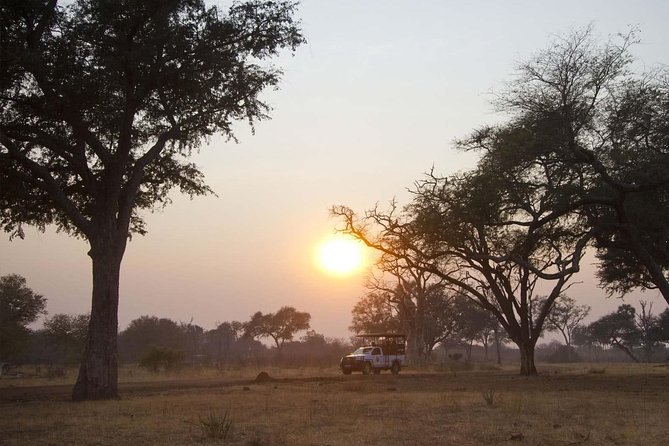 6 Best National Park Tours In Livingstone