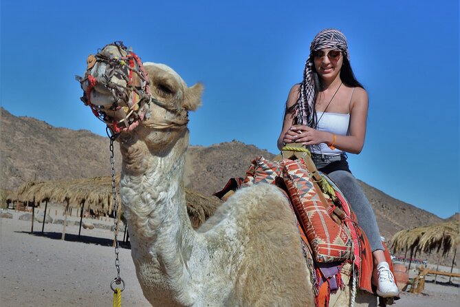 Giftun Island VIP Sea Trip Lunch on Bord and Transfer – Hurghada