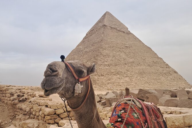 Giza Pyramids All Inclusive Lunch,Entrance Fees,30min Camel Ride