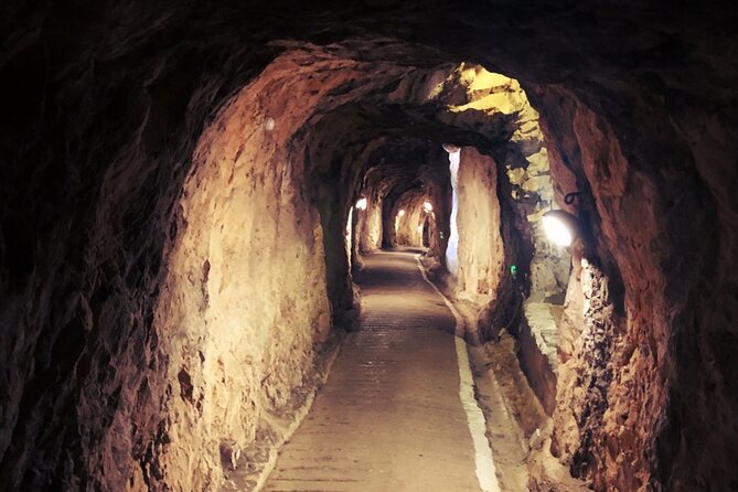 Go Tours 360 Experience in Gibraltar With Professional Guide - Gibraltars Captivating Attractions