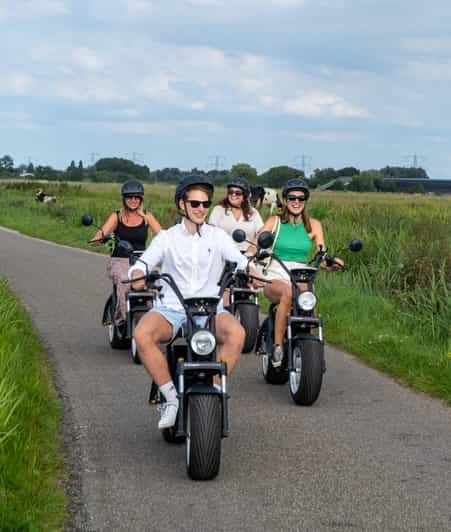 5 Best Tours In Gouda