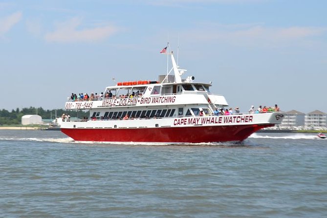 2 Best Tours In Cape May
