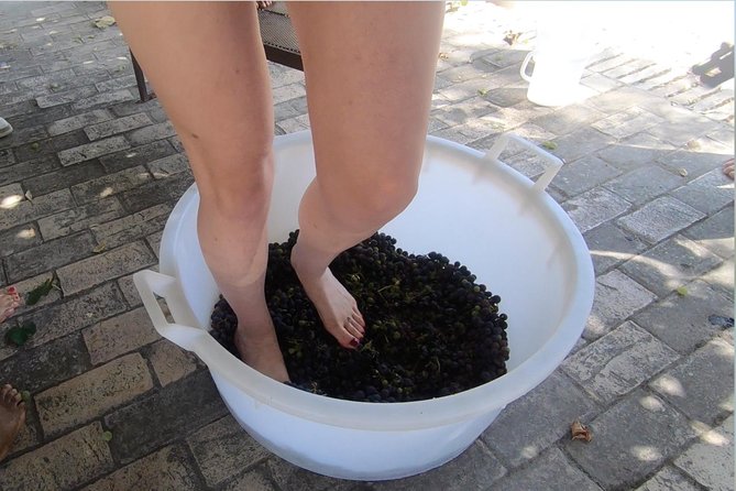 Grape Stomping and Harvest Experience: Wine & Tasting Tour Rome - Tour Overview