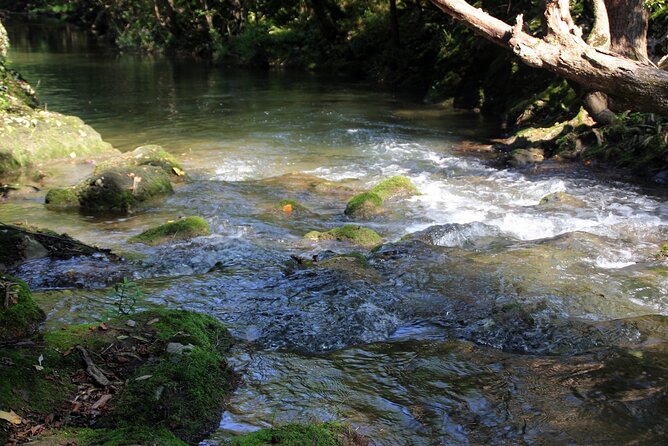 Grenada River Tubing and Annandale Falls Private Tour