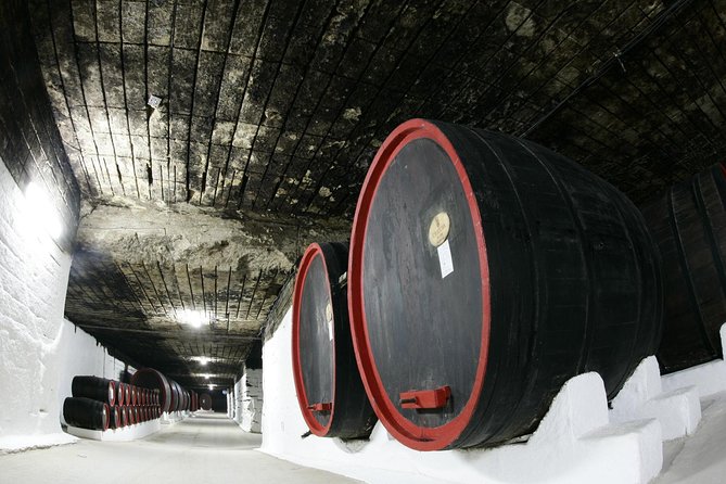 GROUP - Cricova Winery With Tasting - Tour Overview