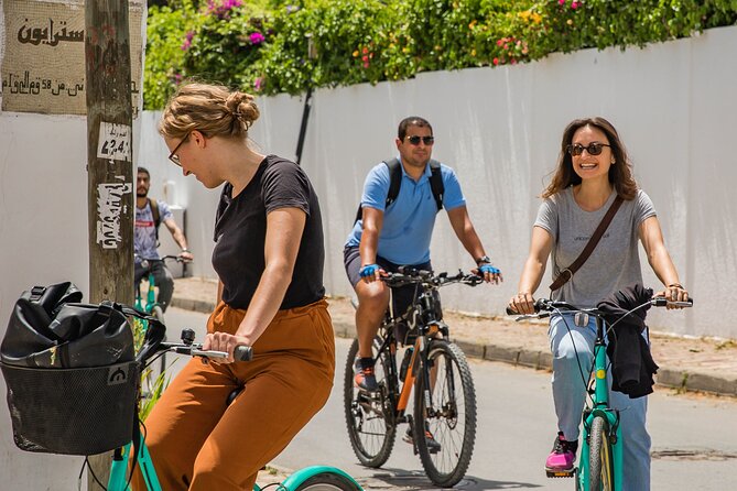 Group Guided Bike Tour of Carthage Archeological Site in Tunisia - Tour Overview and Details