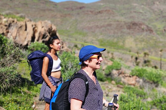 Group Walks in Mogán
