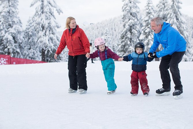 Grouse Mountain Admission Ticket - Overview of Grouse Mountain