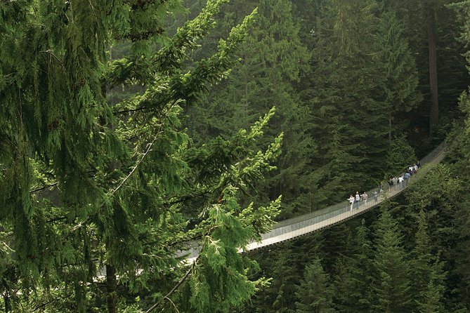 Grouse Mountain & Capilano Suspension Bridge Park - Overview of the Tour
