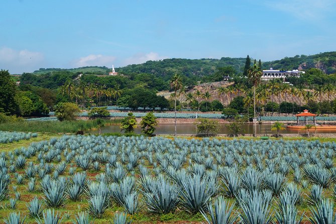 Guachimontones Archeological Site & Tequila Town PRIVATE TOUR - Tour Overview