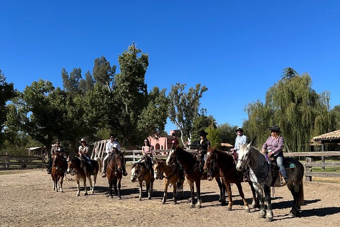 Guided 2 Hour Horseback Ride Catalina State Park Coronado Forest