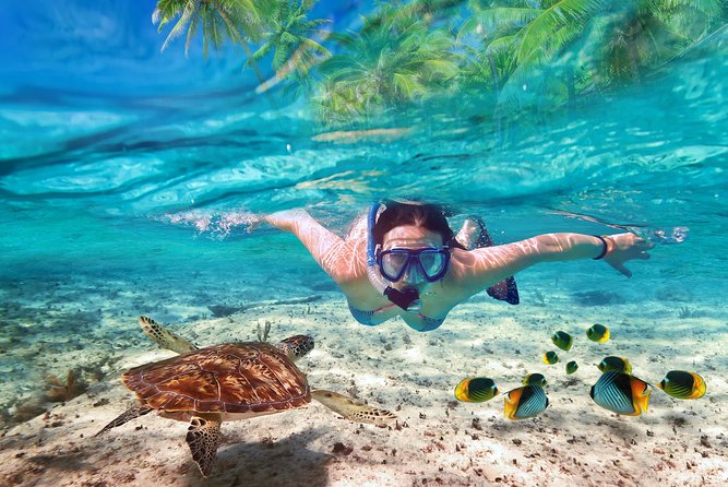 Guided 8 HR Full Day Fishing / Snorkel Private Charter Trip 40 Mega Bite - Charter Overview