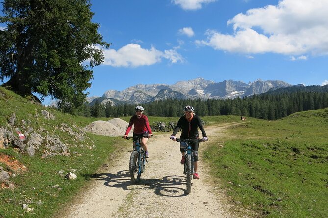 Guided E-Bike Tour of the Alpine Pastures in the Salzkammergut - Tour Overview