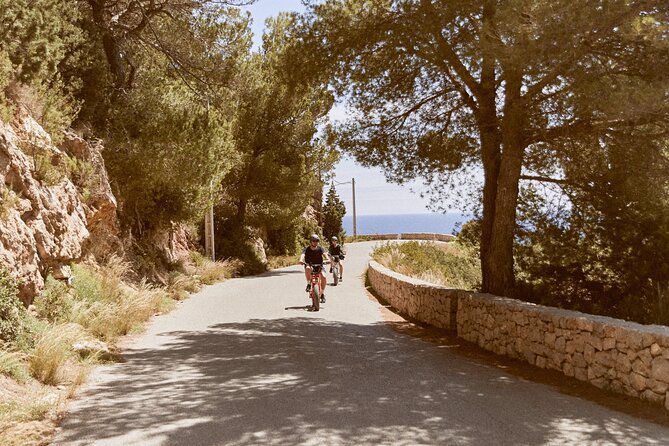 Guided Ebike Tour in Ibiza