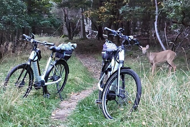Guided Ebike Tour of Acadia National Park Carriage Roads