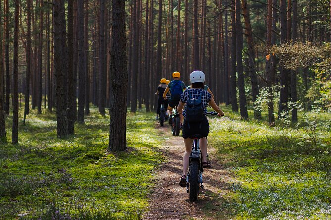 Guided Ebike Tour on Forest Roads and Trails Near Riga